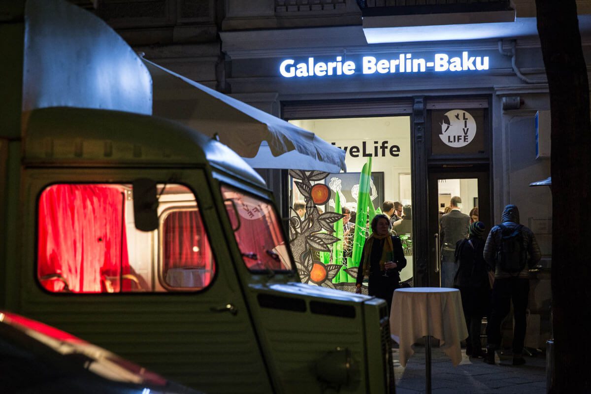 Our disappearing wildlife