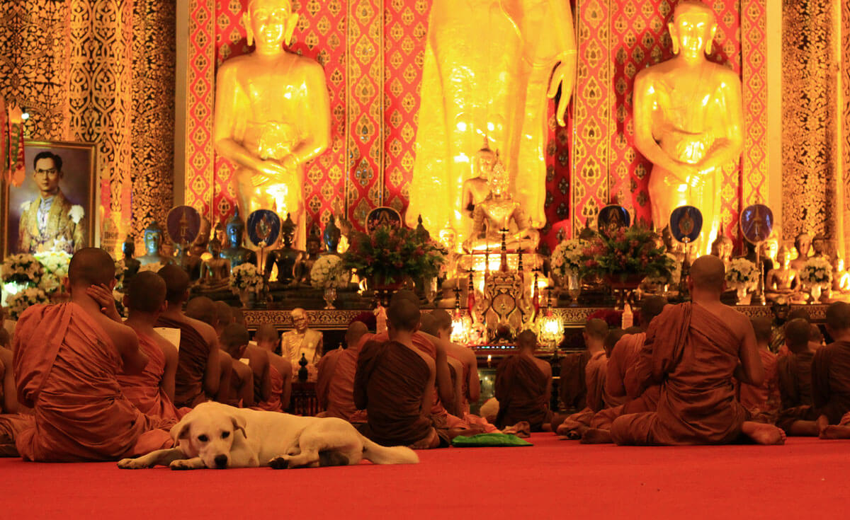 Chiang Mai temple