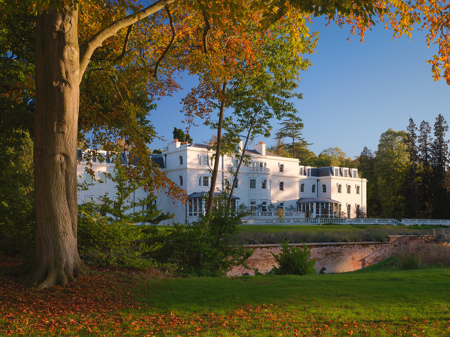 autumn leaves at country hotel on the edge of windsor park, Coworth Park