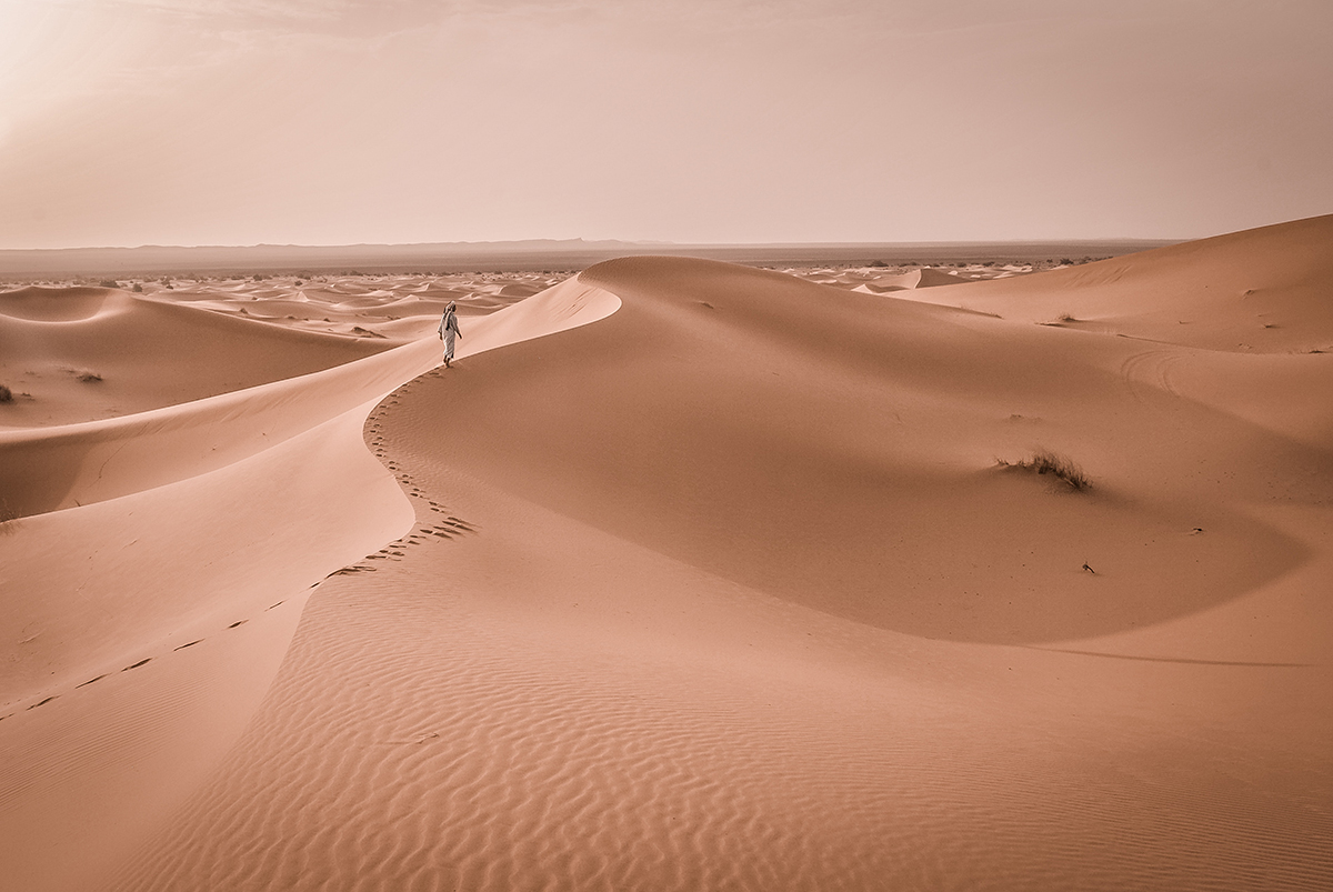 Rolling sand dunes in the Moroccan desert