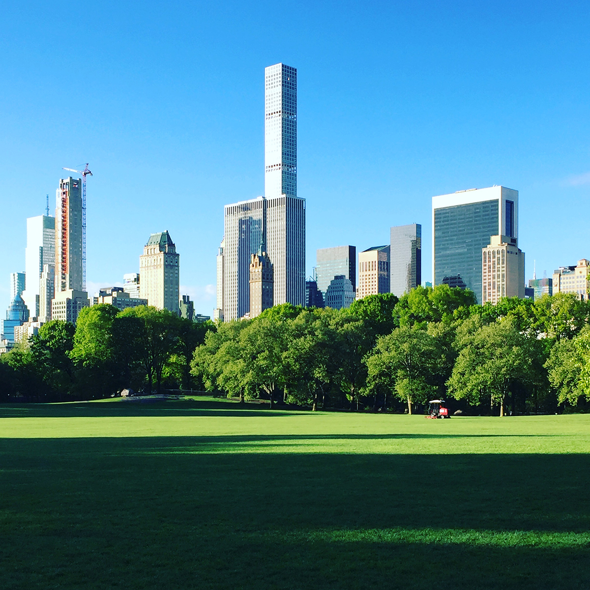 sunny skyline view of Park Avenue from Central Park, New York