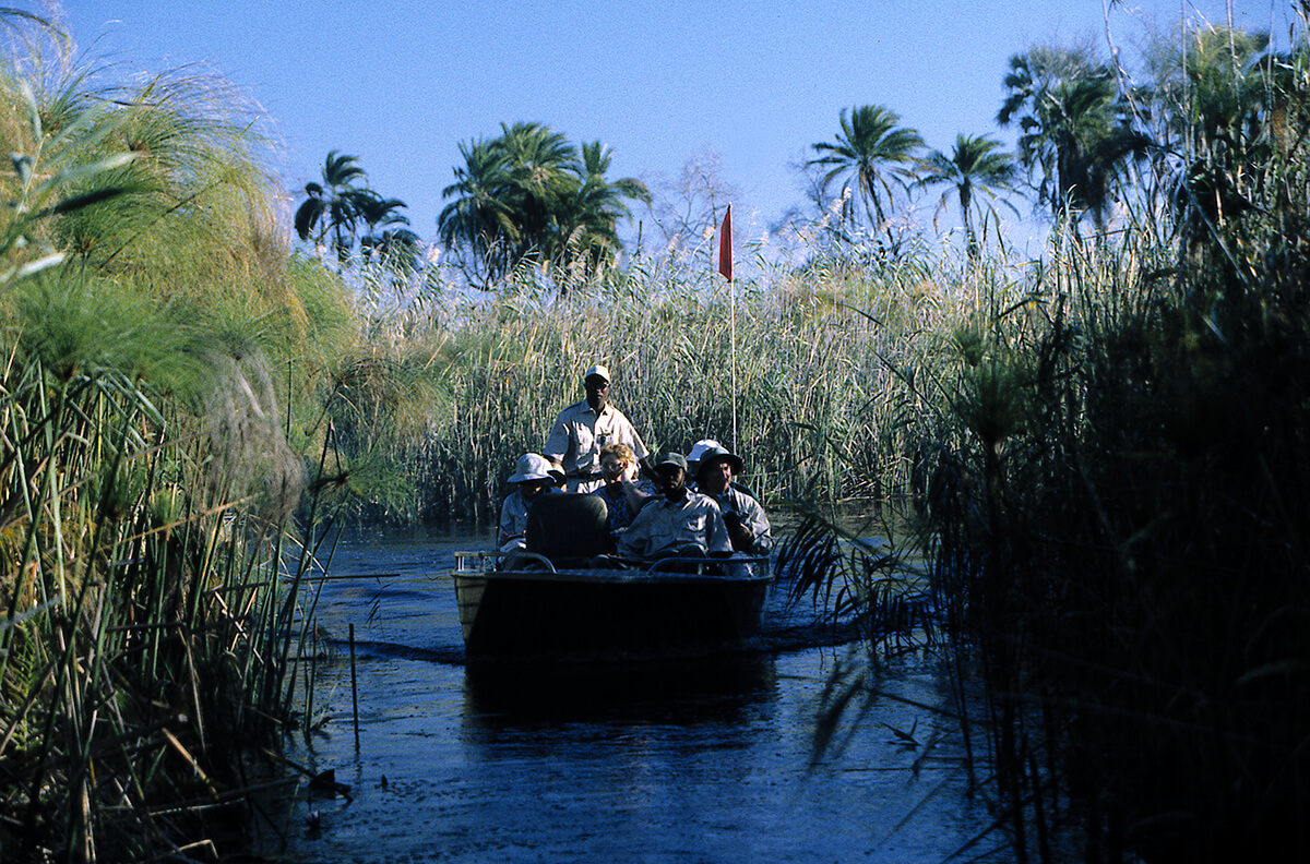 group of travellers in a safari boat down a river amongst reeds