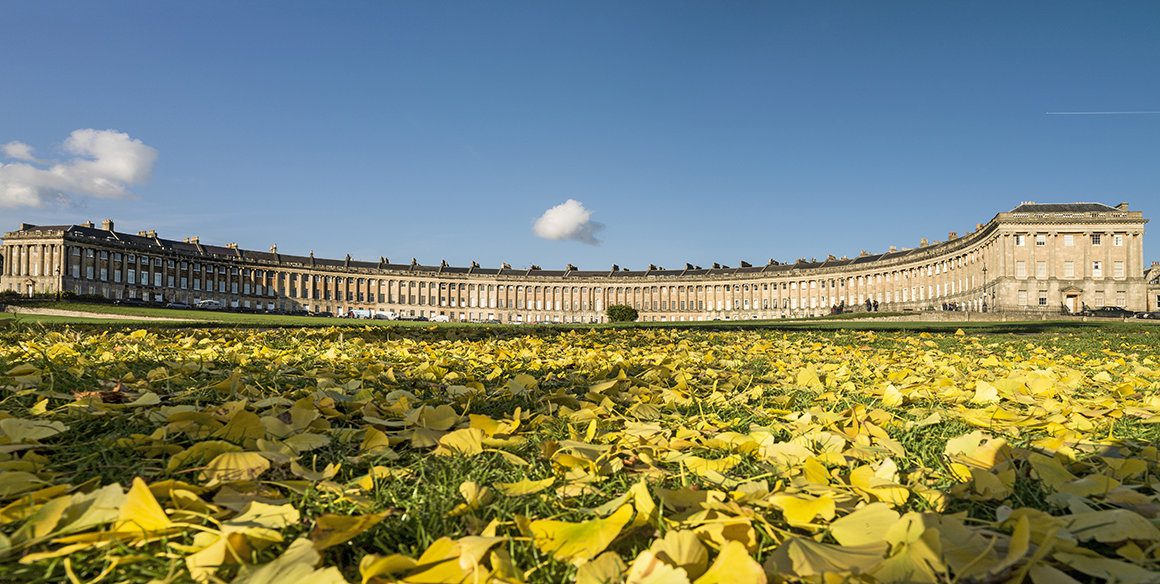 curved Georgian building with columns and lawn scattered with yellow leaves