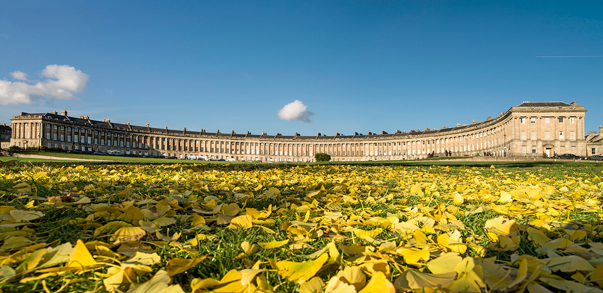 curved Georgian building with columns and lawn scattered with yellow leaves