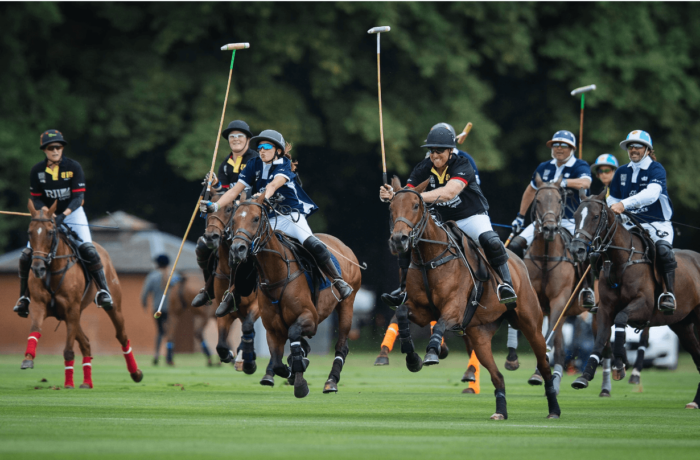 polo players in action on the field