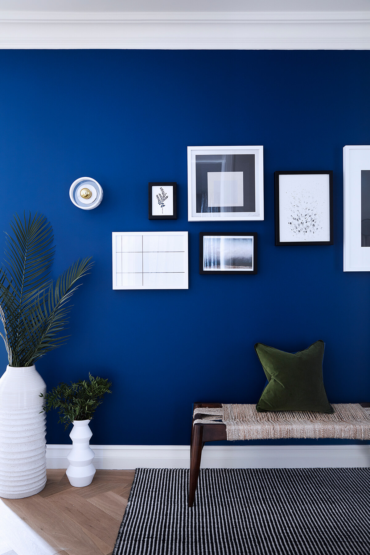 Bright interiors with blue wall, potted plants and images hanging