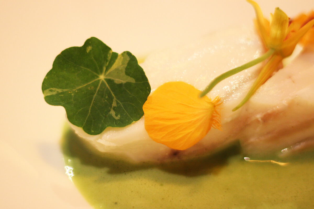 detail image of fish fillet in bowl of green broth decorated with nasturtium