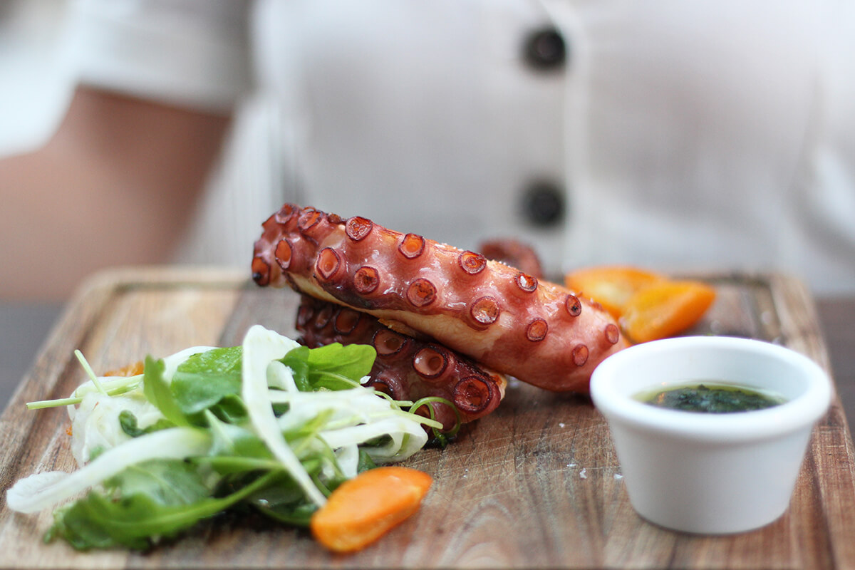 Detail photograph of grilled octopus tentacle with salad and sauce