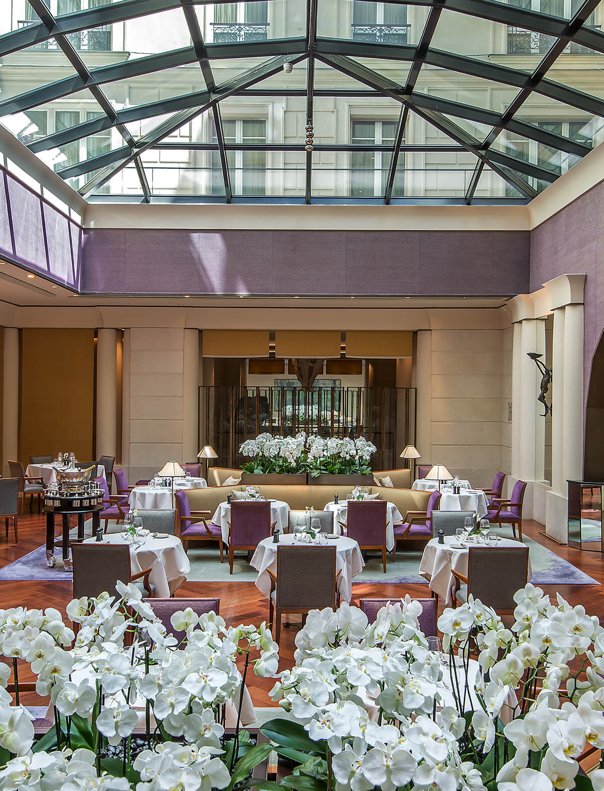 Luxury dining room underneath a glass atrium with lilac detailing