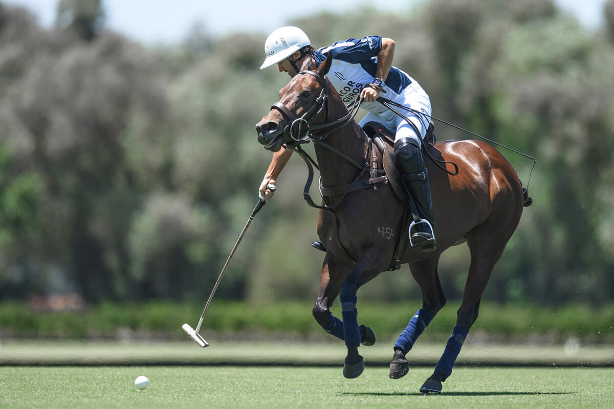 Polo player action shot on the field