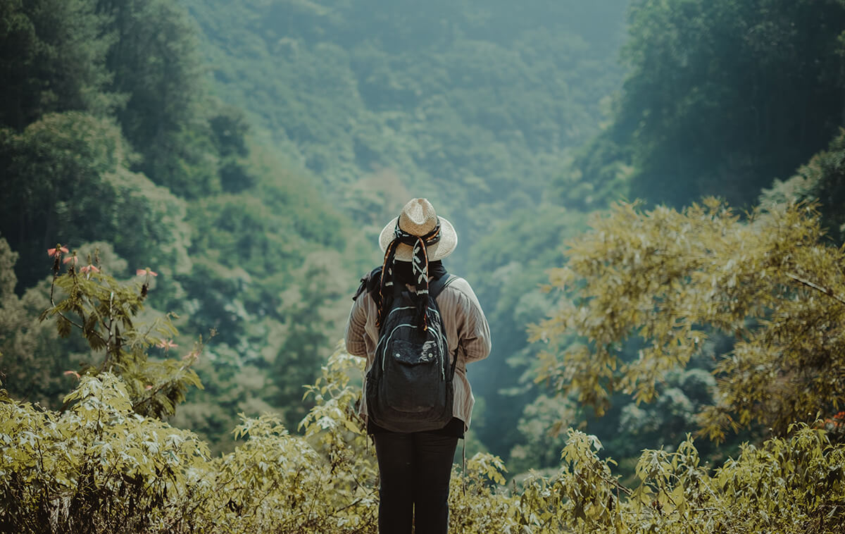 A lone traveller wearing a backpack staring into a jungle landscape