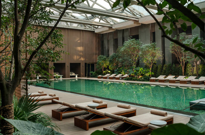 Luxury indoor swimming pool surrounded by plants inside a glass atrium