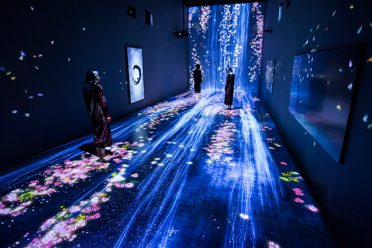 Still image of large scale digital installation by art collective teamLab