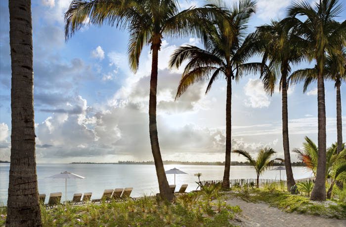 Private tropical beach with sun loungers and palm trees