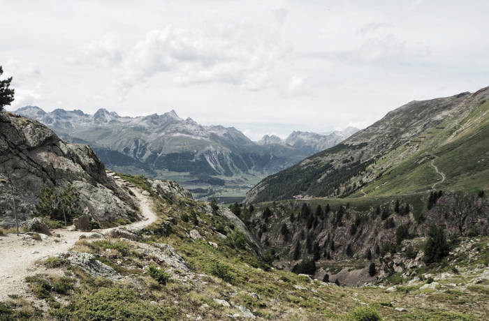 the rolling mountains of the swiss engadine in summertime