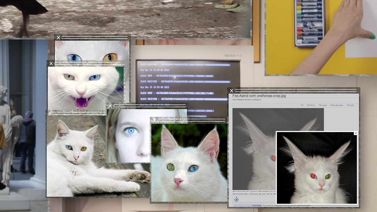 Digital artwork of computer images showing cats