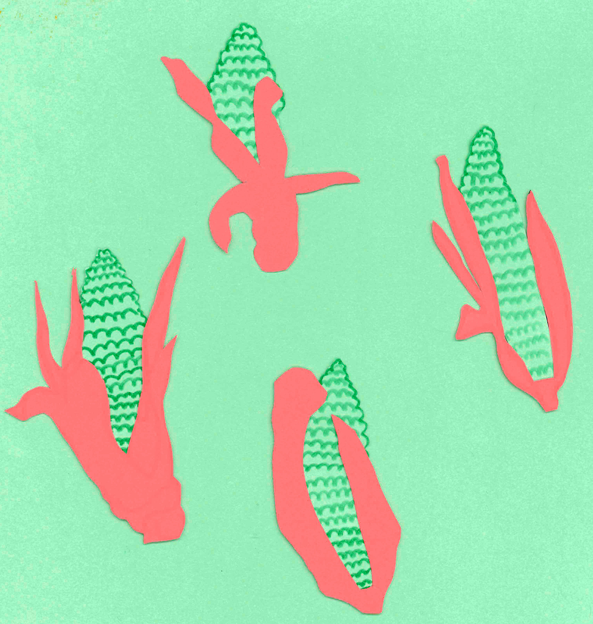 Colourful illustration of corn cobs against a pale green background