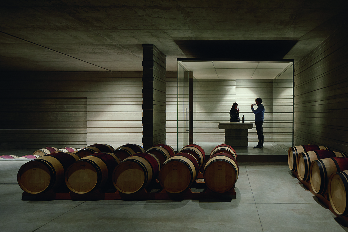 Underground wine cellar designed in contemporary architecture