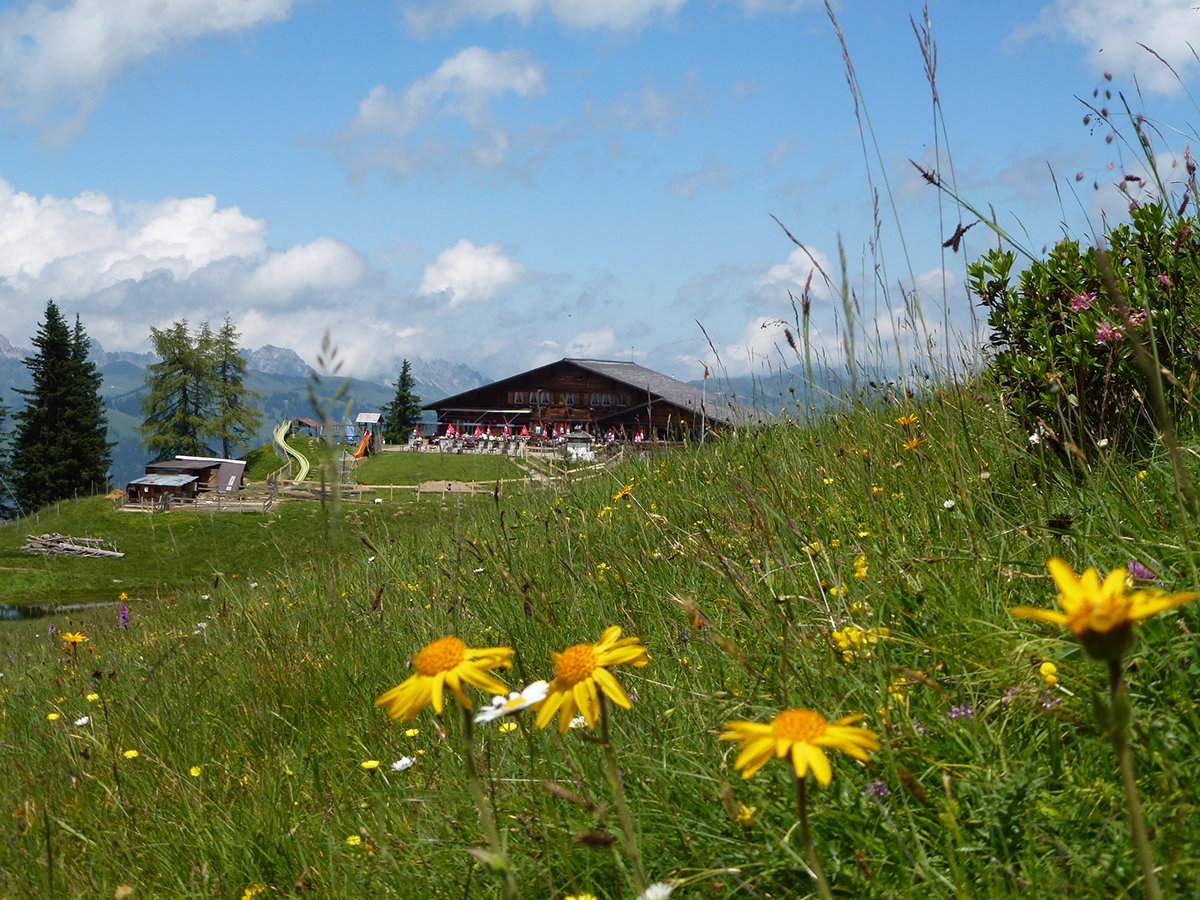 Chalet style restaurant pictured in the alps at summertime