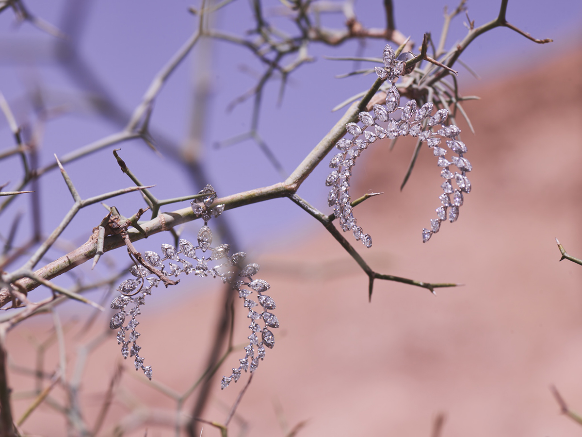 Diamond earrings hanging on a branch of a tree