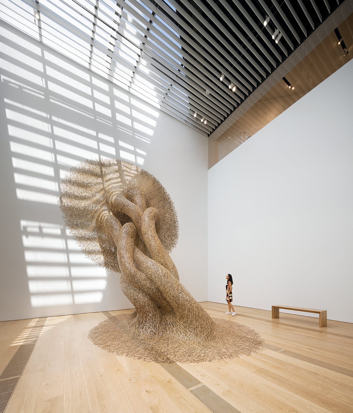 Contemporary bamboo art installation expanding from a museum gallery wall