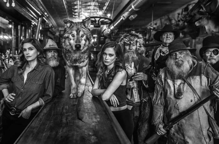 Image of people in a bar with a wolf on the bar counter