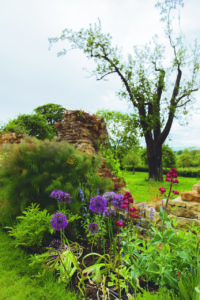 Wild English garden with wall