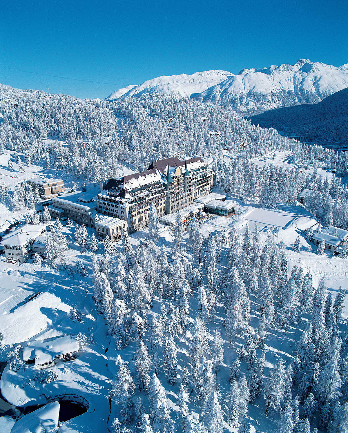 Luxury alpine hotel within a forest