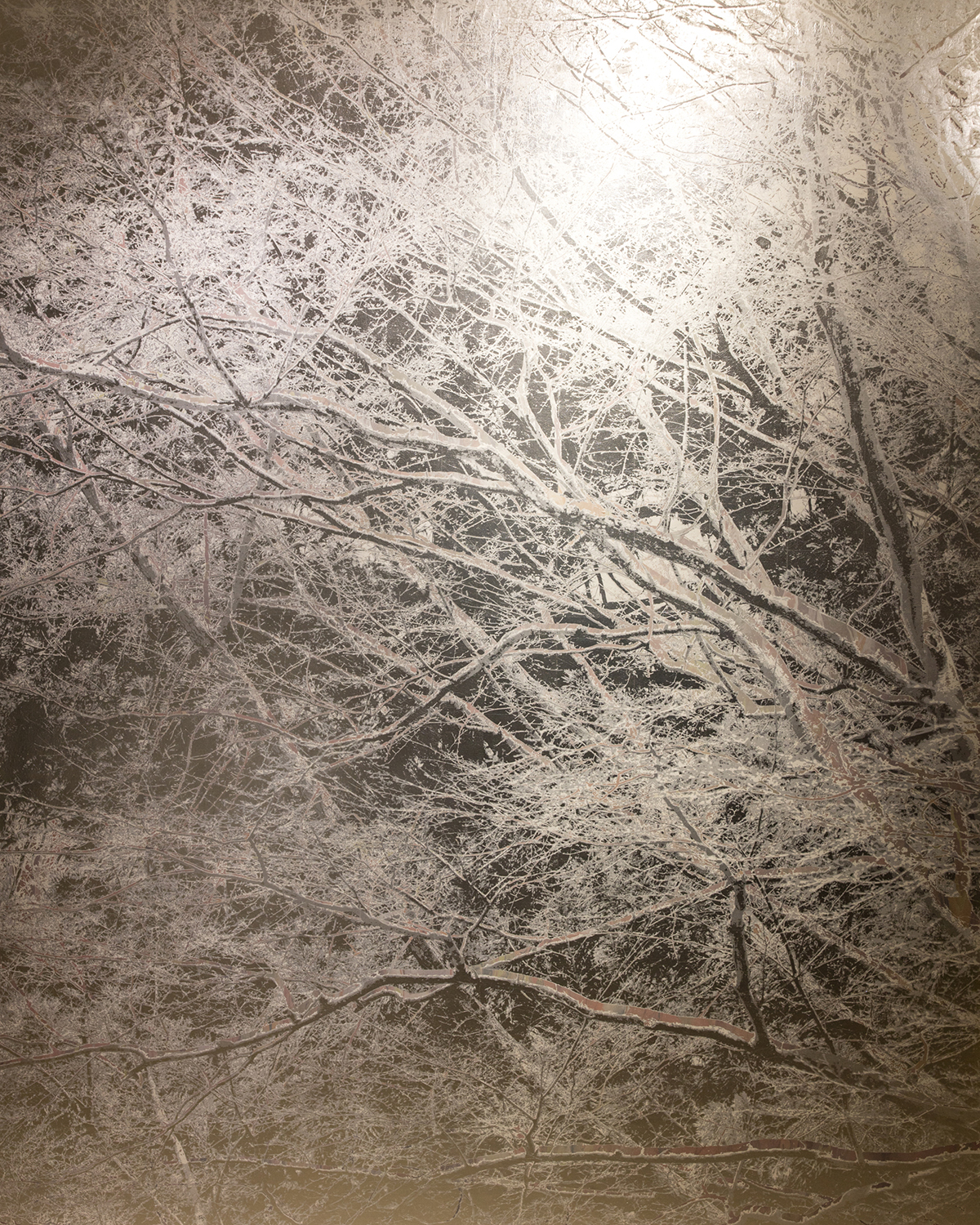 Photograph of snow on trees in street light
