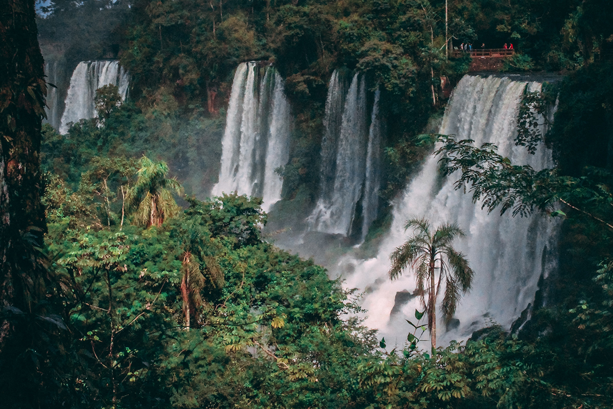 Lush rainforest with waterfalls
