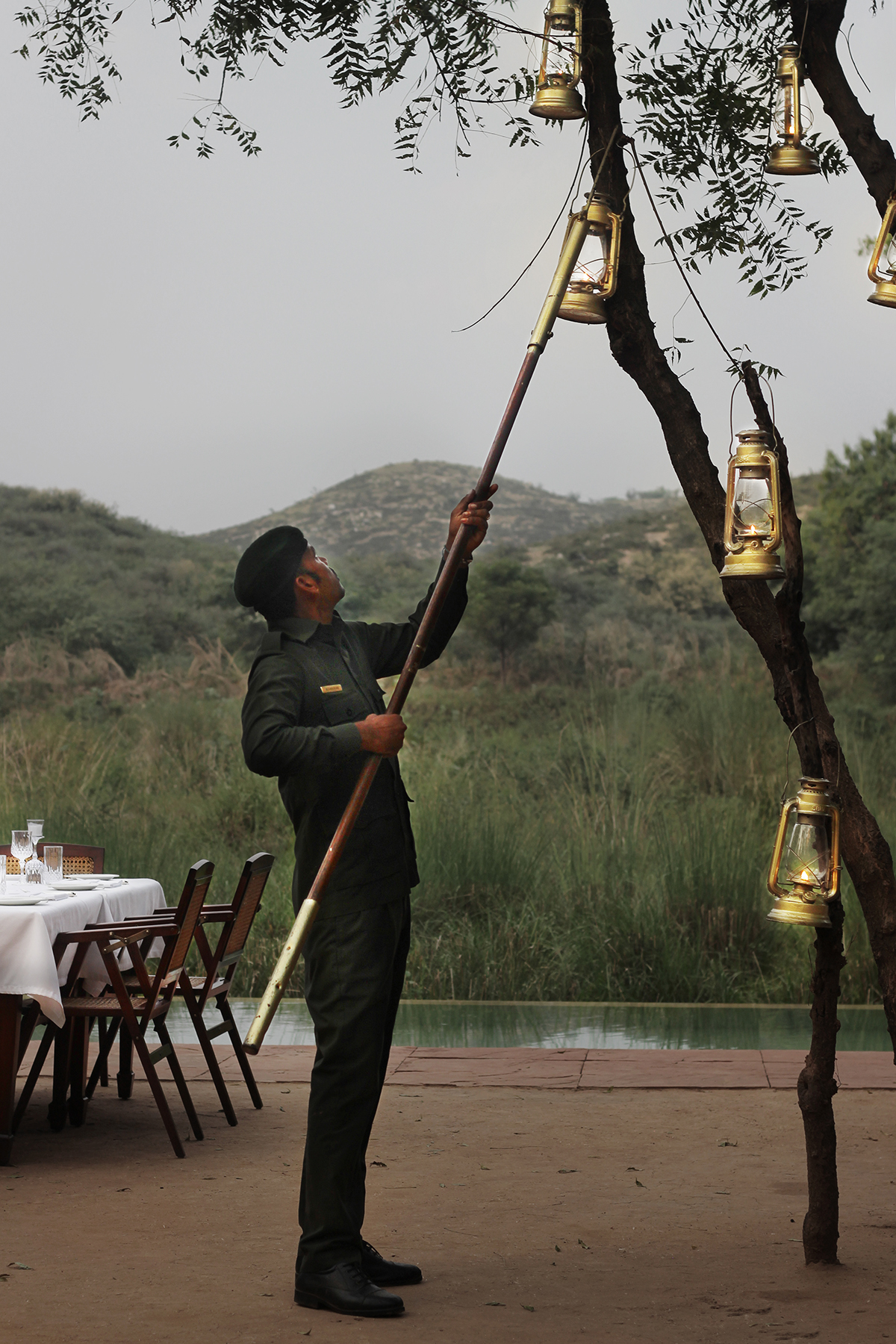 Man hanging golden lanterns onto a tree