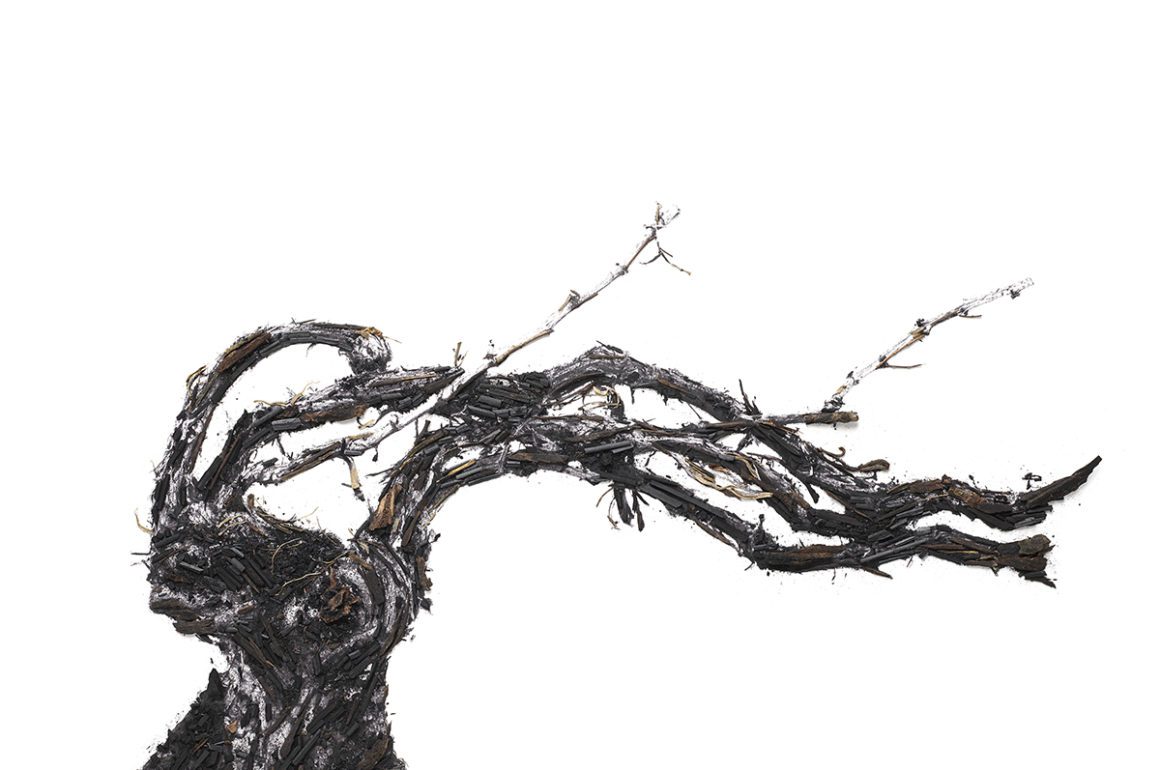 Artist portrait of a branch