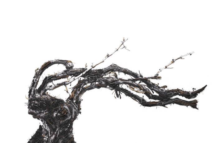 Artist portrait of a branch