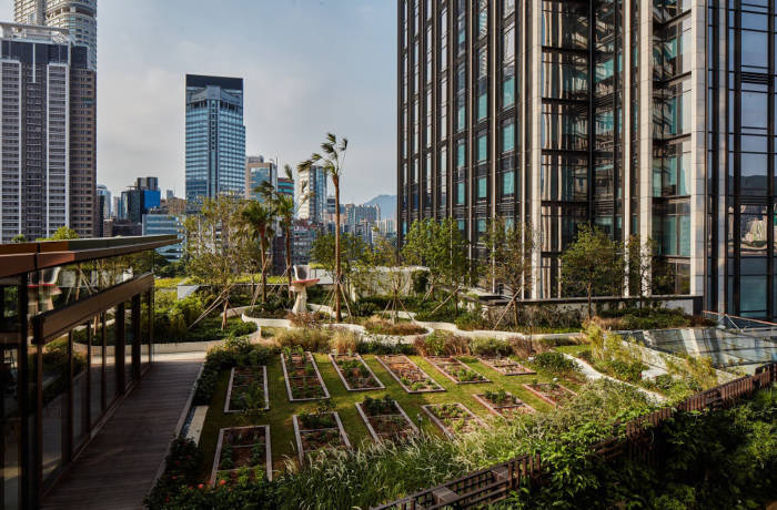 Rooftop garden in a city landscape