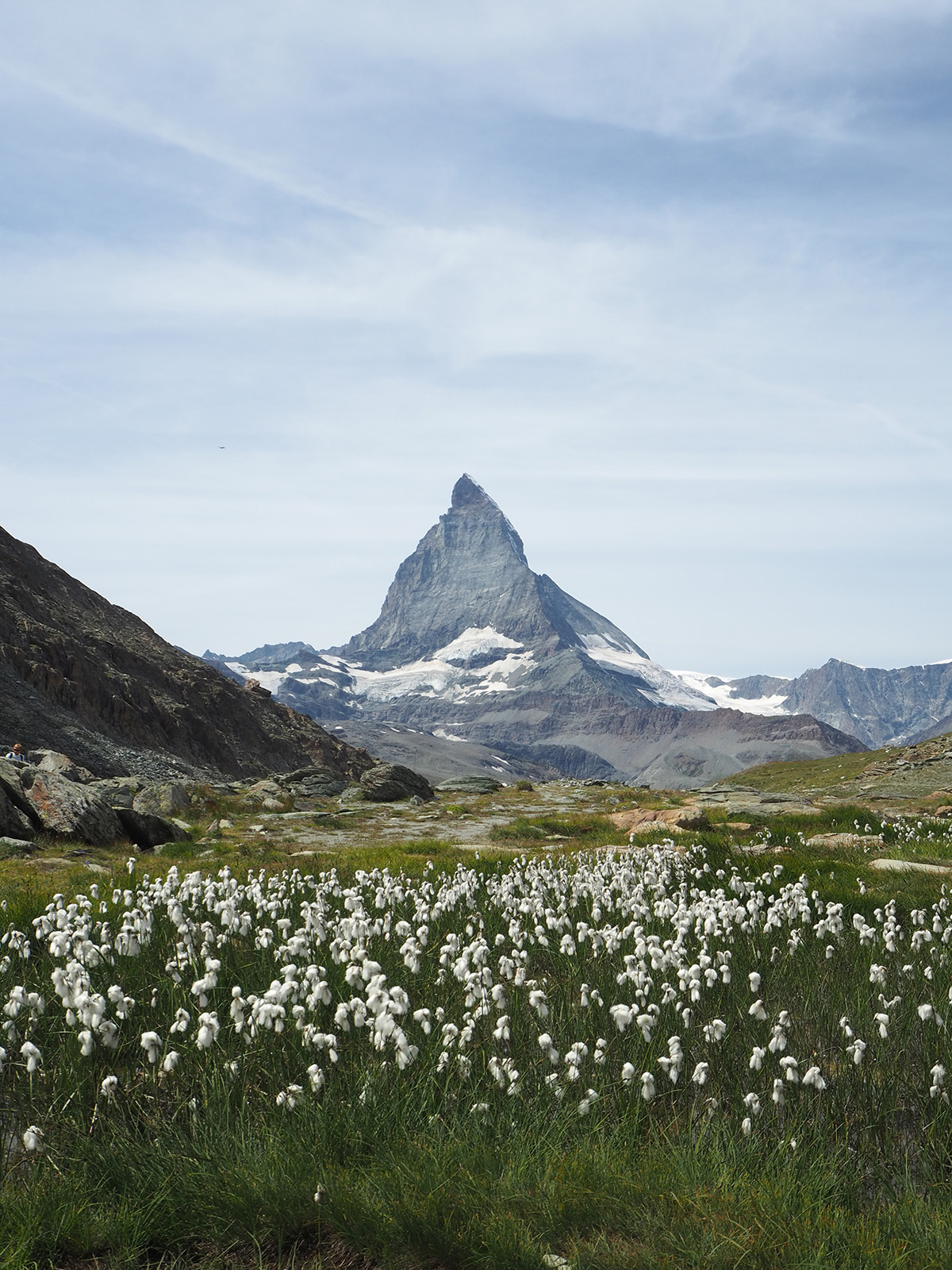 Matterhorn mountain with fields of wildflowers