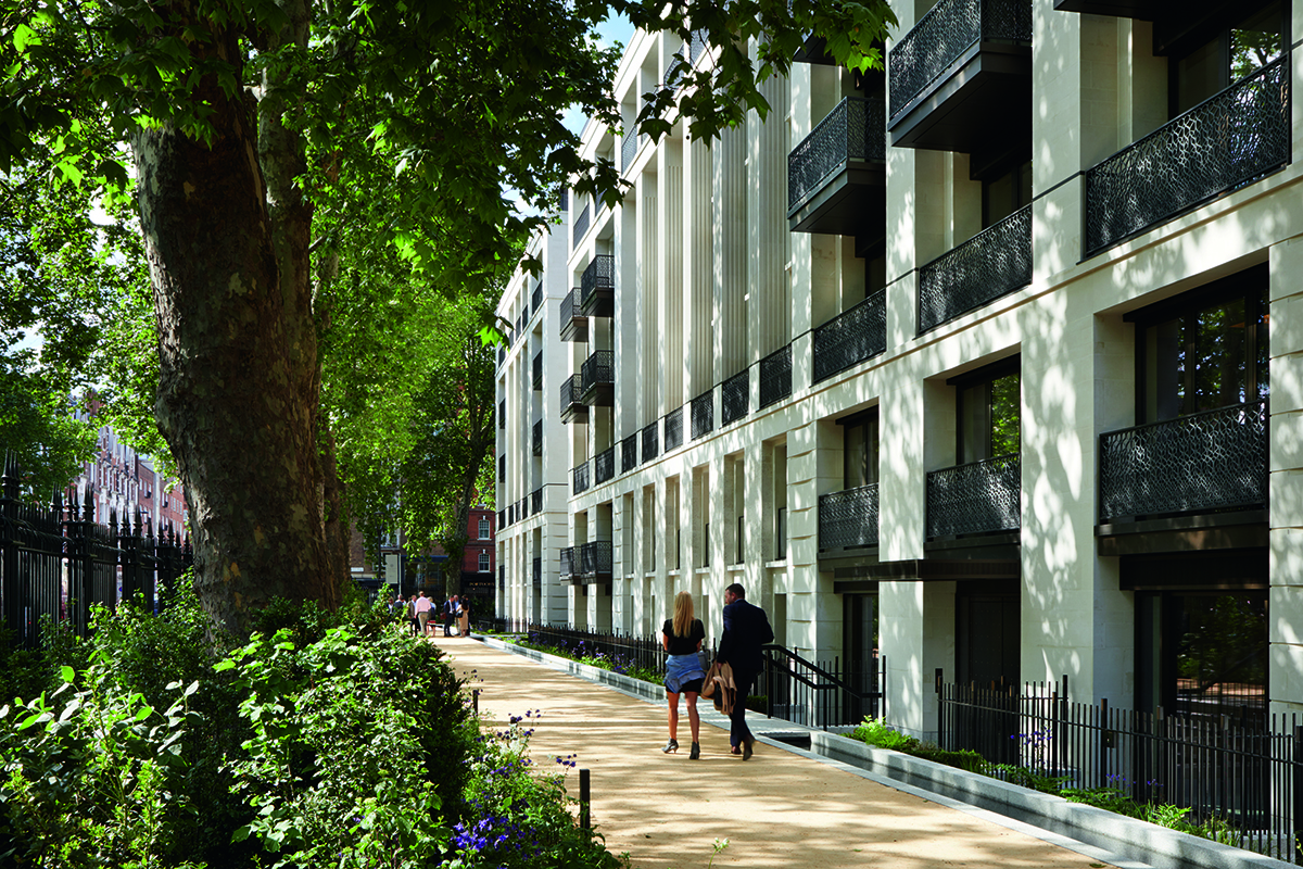 Leafy walkway along a building