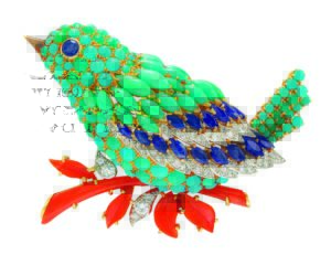 Jewelled bluebird clip