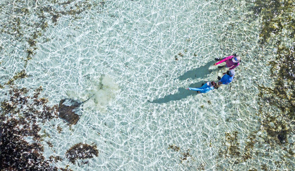 Ocean safari