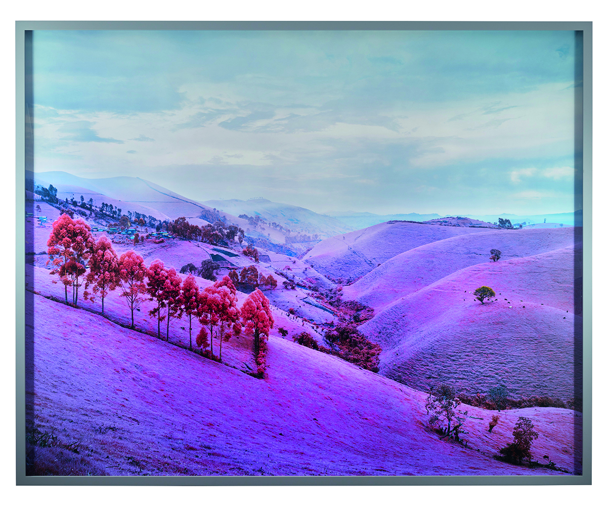 Purple hills of a landscape