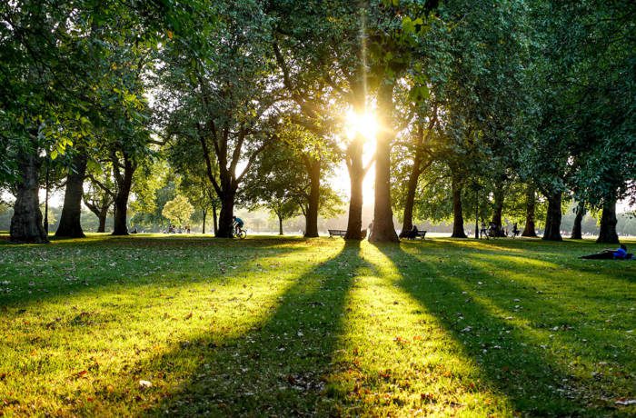 park in summer