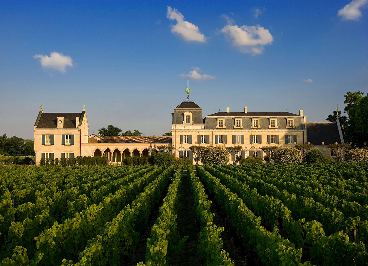 wine estate