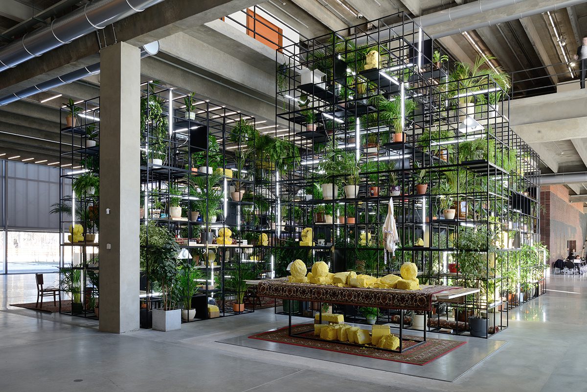 plant installation artwork