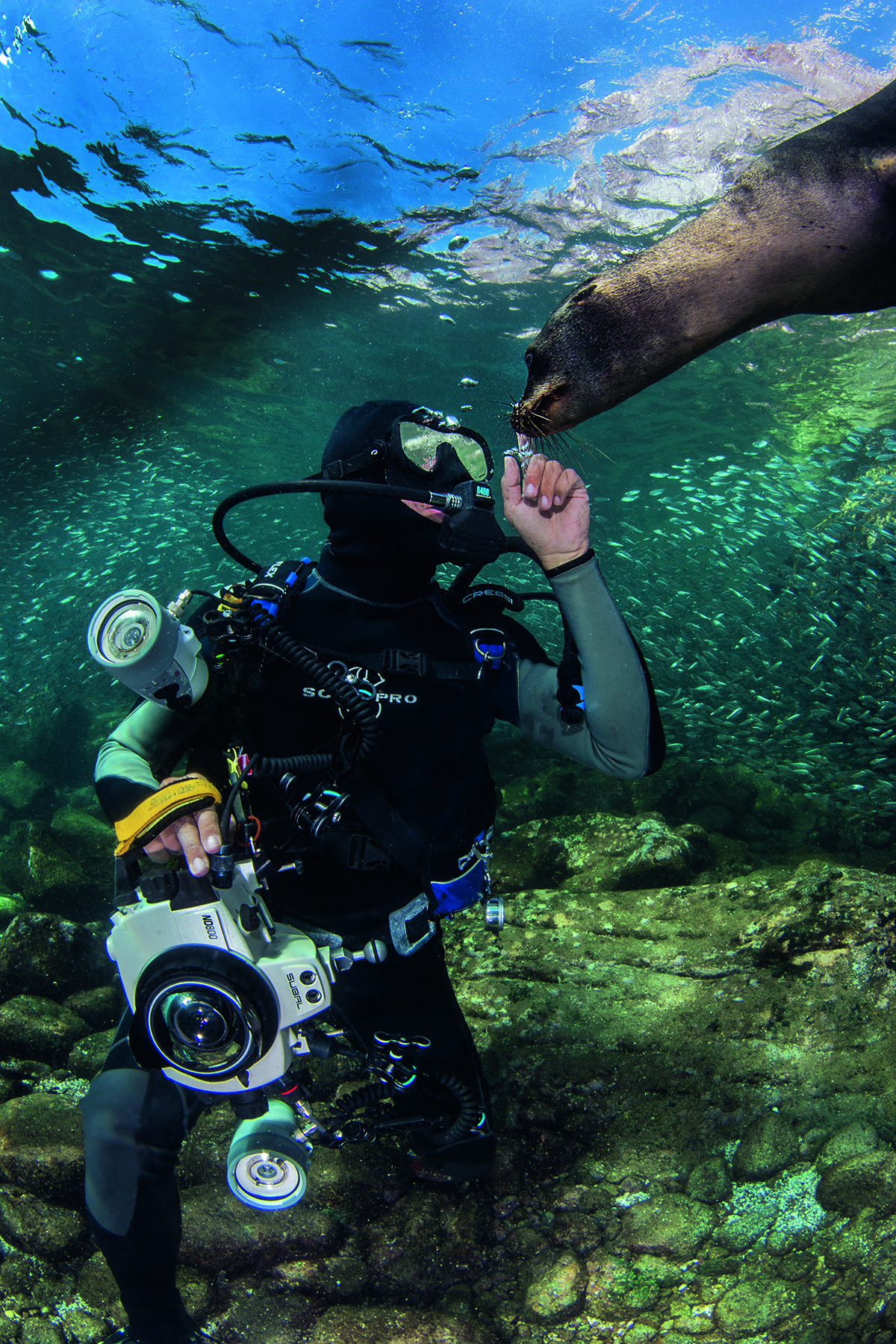 underwater photographer