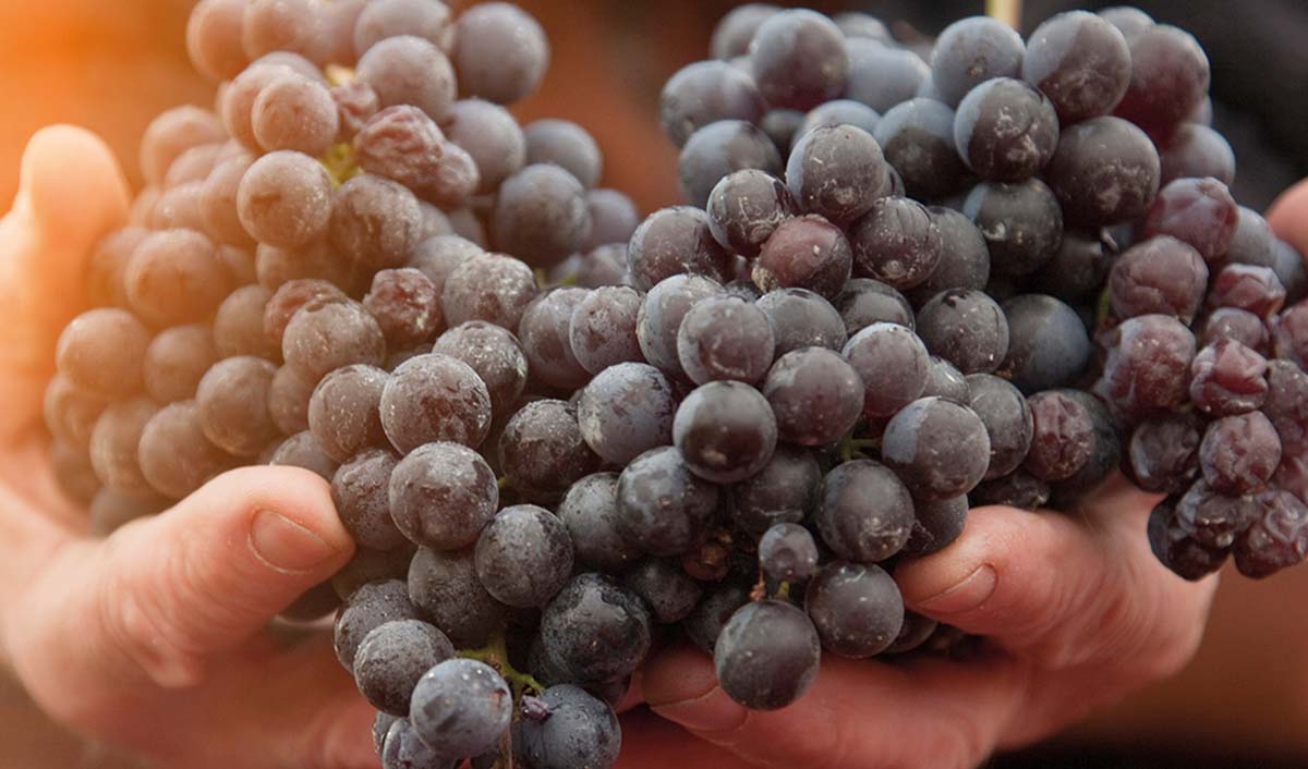 Gaggenau launches initiative to support innovative artisans