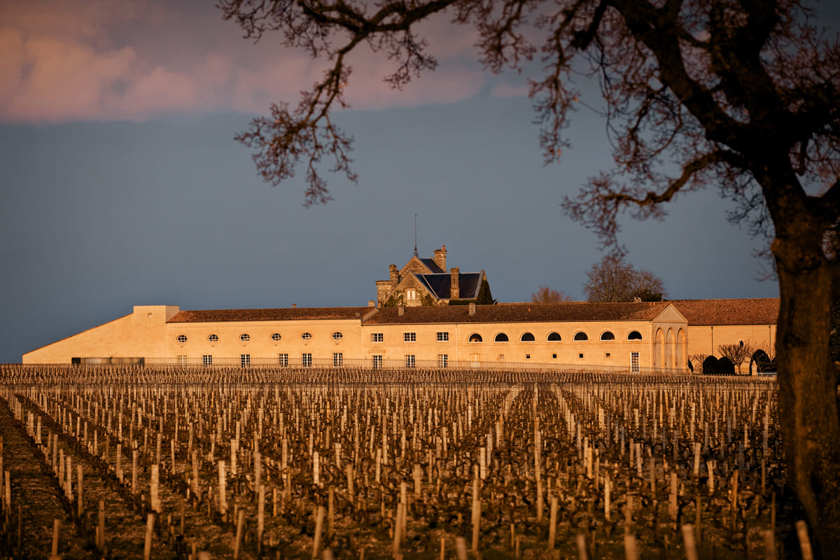 winery at sunset