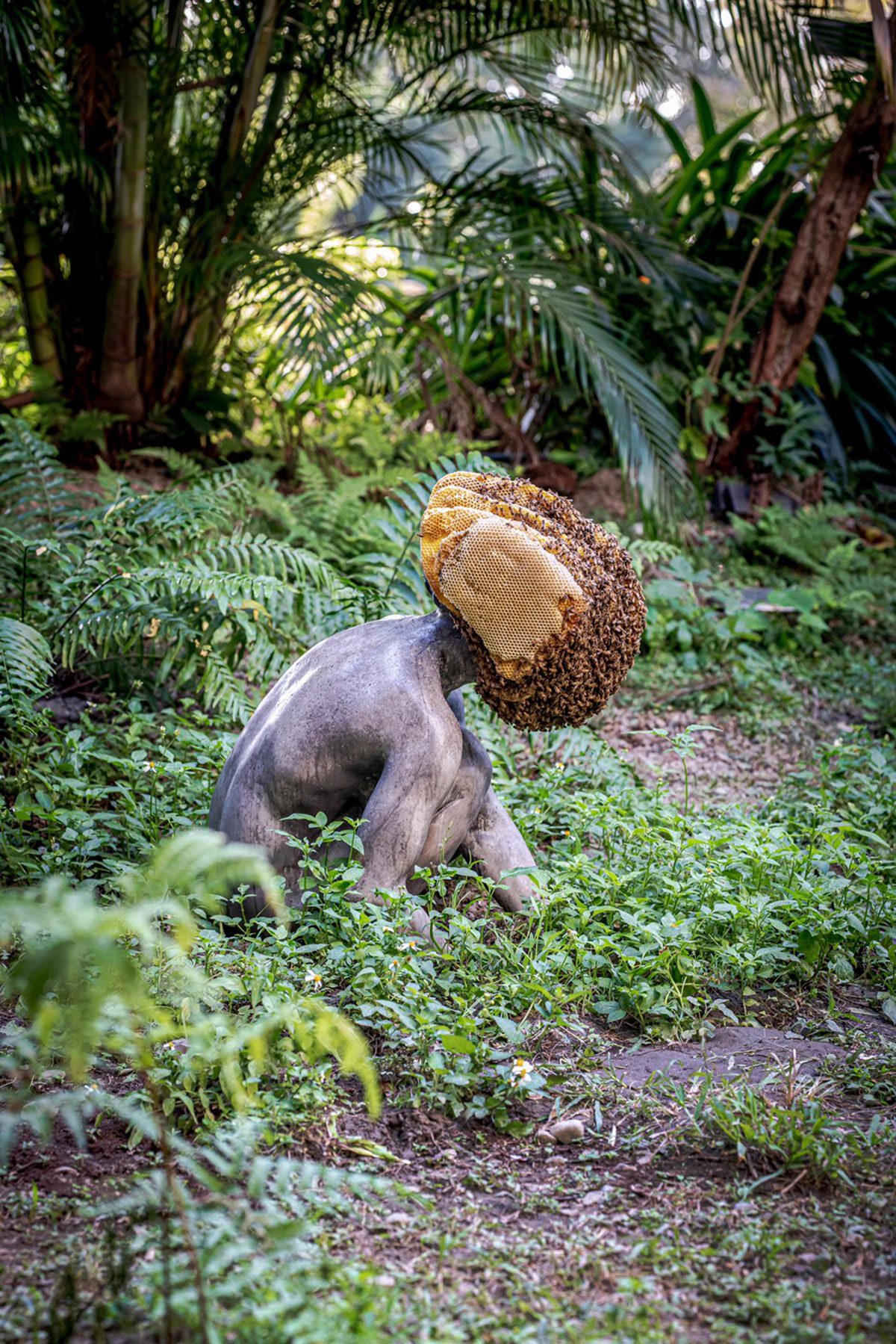 man in jungle with bee hive