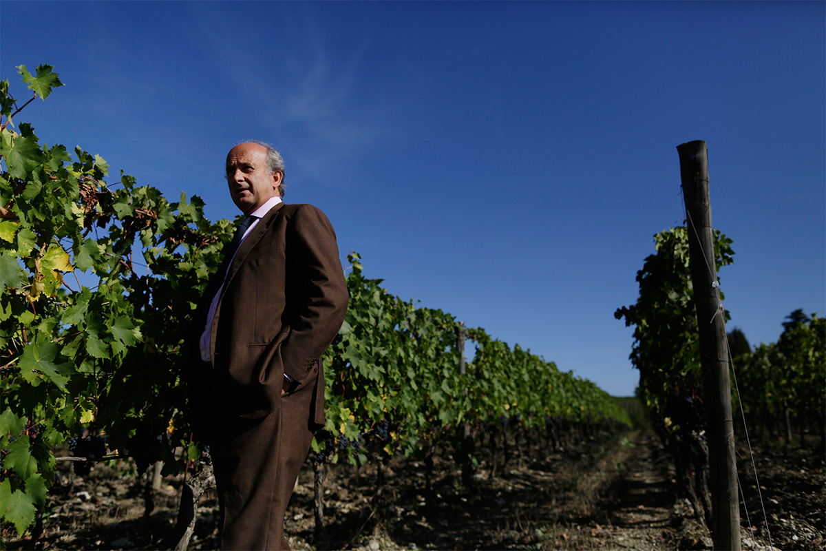 man in vineyard