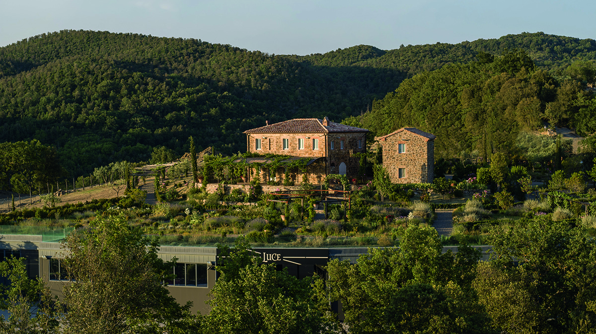 vineyard estate