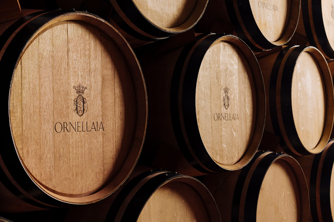 oak barrels of wine