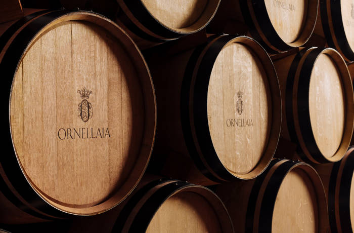 oak barrels of wine